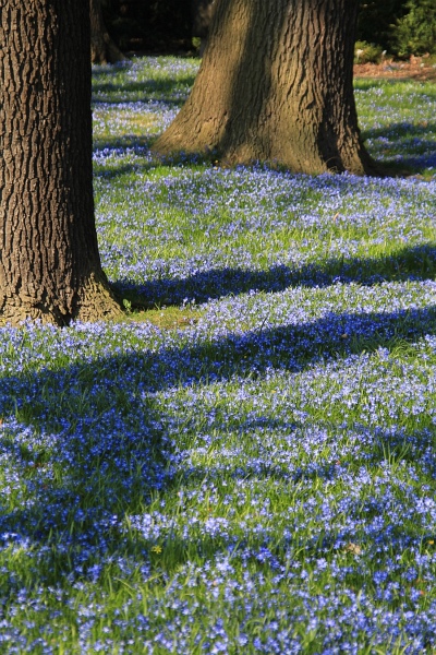 Fruehling   062.jpg